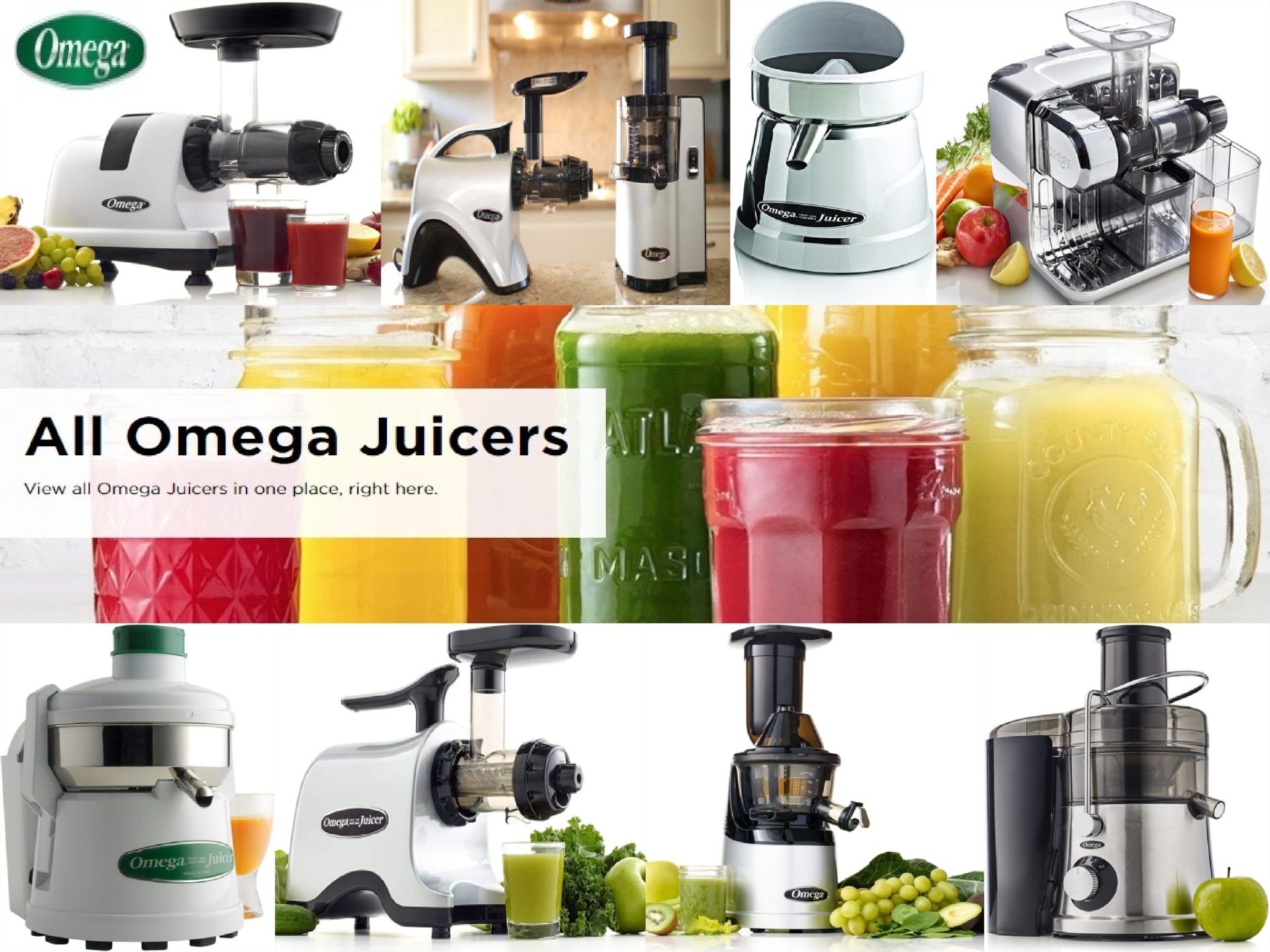 Best Omega Juicer Reviews 2021 All Types Discussed And Listed