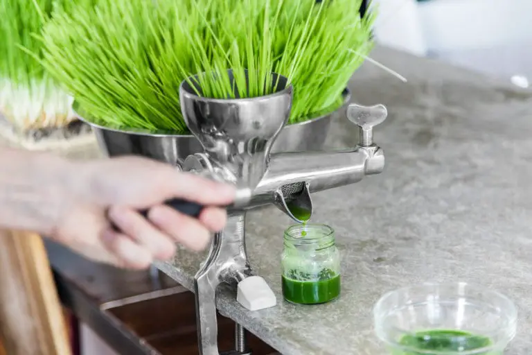 Is There Any Best Wheatgrass Juicer In The Market ?