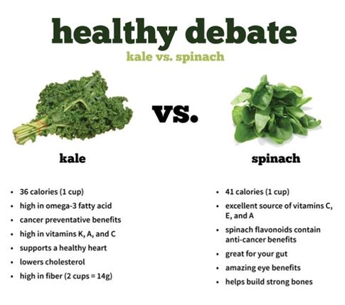 What Are The Best Juicers for Kale and Spinach? You Need To know