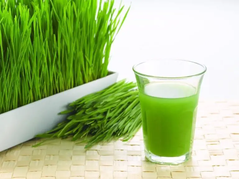 How To Make Wheatgrass Juice At Home