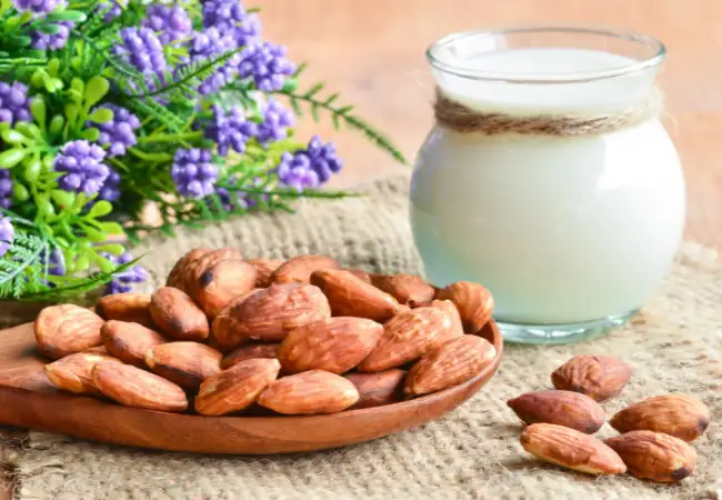 Are There Any Best Juicers For Almond Milk ?