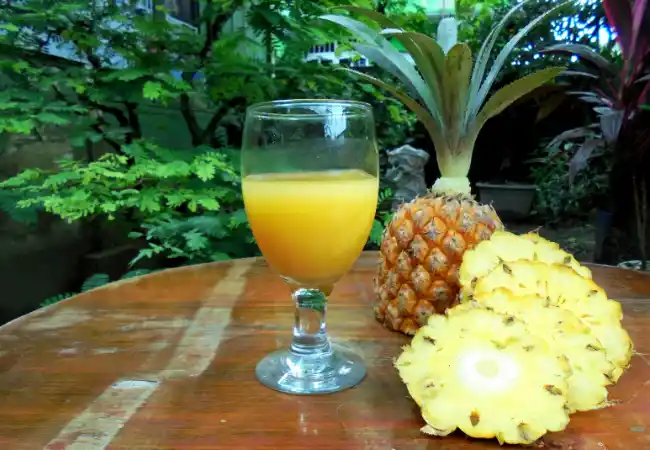 What Is The Best Juicer For Pineapple In The Market ?