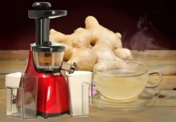 Can You Put Ginger In A Juicer