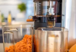 WHAT TO DO WITH CARROT PULP FROM JUICER
