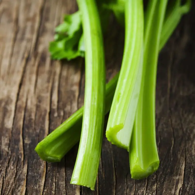 Can I Just Eat Celery Instead Of Juicing It?