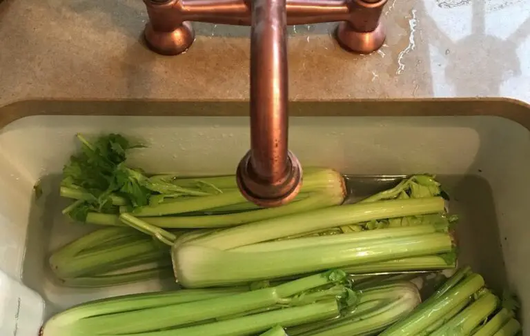 How Much Celery Is Needed To Make 16 Oz Of Juice?