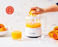 best breville blender