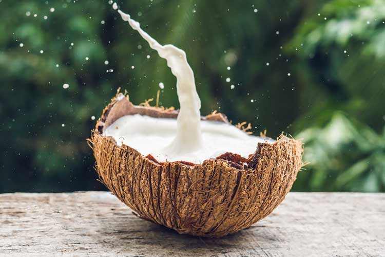 Can You Drink Coconut Milk on a Juice Fast?