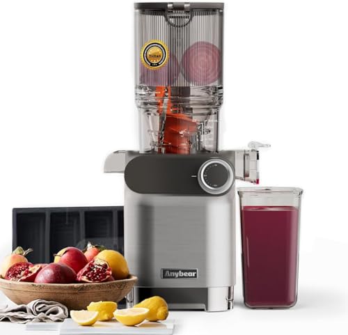 Best Budget Friendly Masticating Juicer