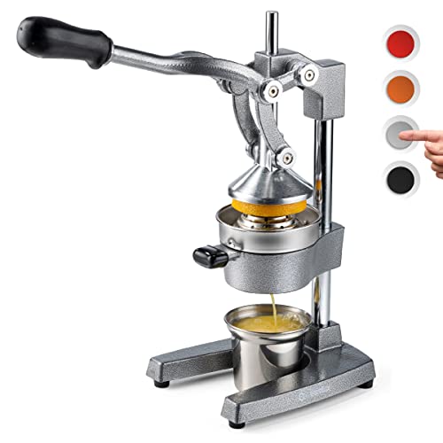 Best Cold Press Juicer for Juice Bar