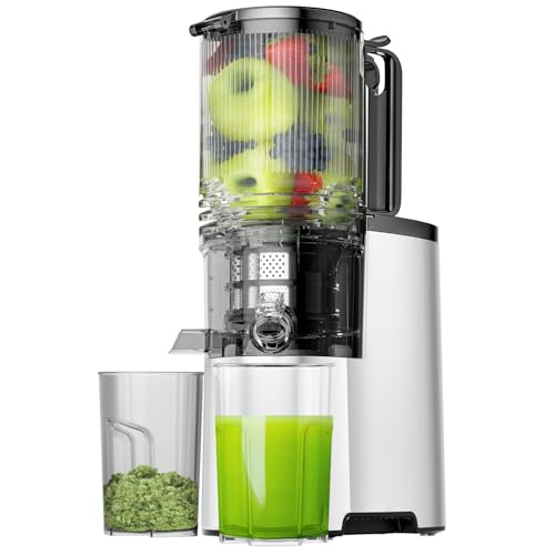 Best Cold Press Juicer for Small Business