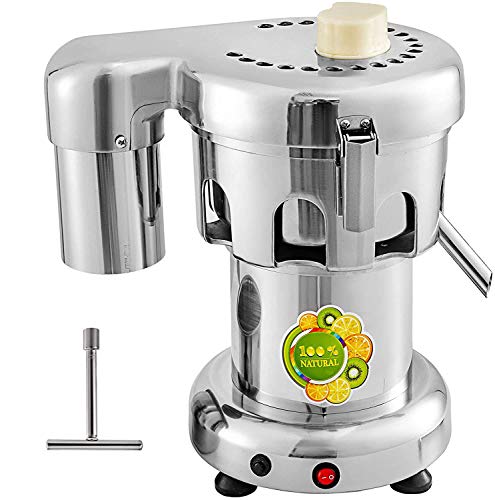 Best Commercial Juicer for Ginger