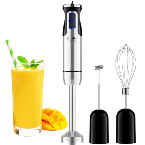 Best Immersion Blender for Pureeing Soups