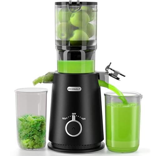 Best Juicer for Apple Juice