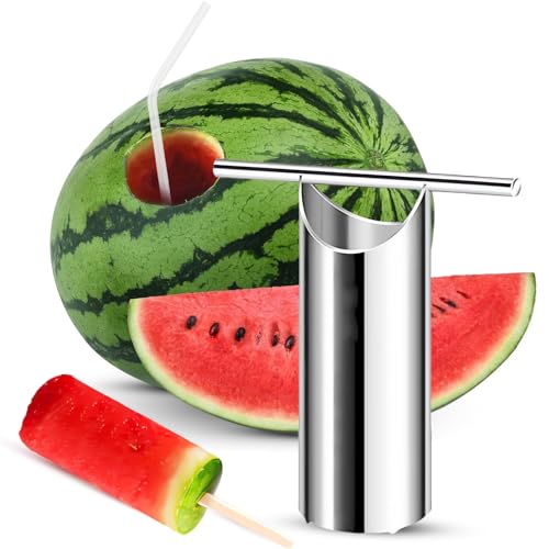 Best Juicer for Watermelon Rind