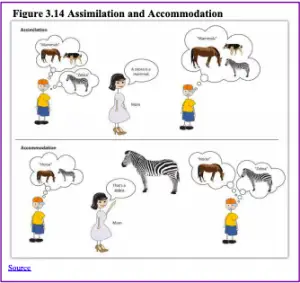 Is a Child Classifying Milk And Juice a Accommodation Piaget