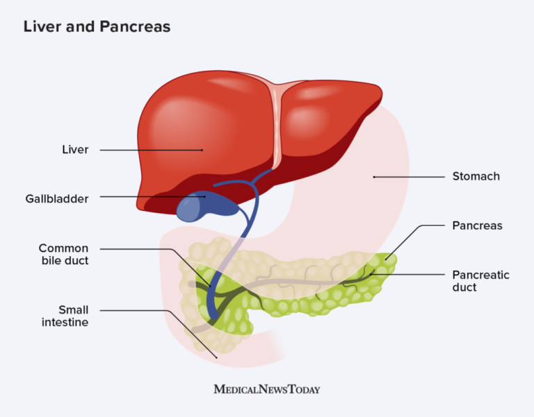 What is a Major Function of Pancreatic Juice